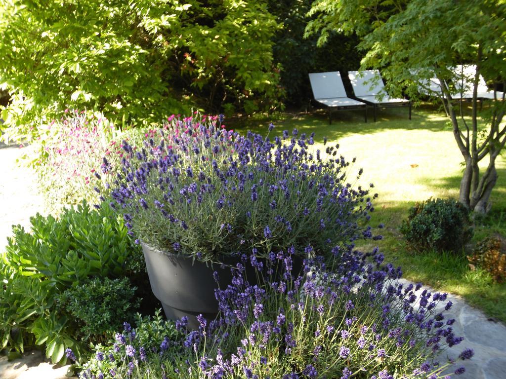 Bed & Breakfast La Clepsydre Fontenay-aux-Roses